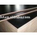 Melamine gule black Film faced plywood